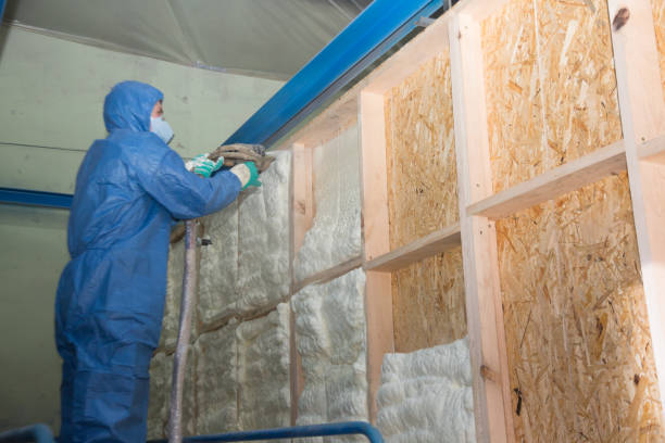 Best Insulation Contractors for Homes  in Morton, PA