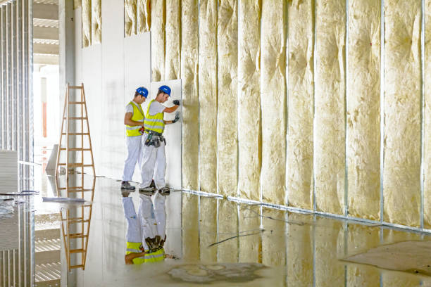 Best Energy-efficient Insulation  in Morton, PA